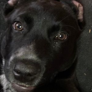 Meet your Posher, Mike